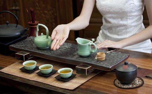 泡茶入门 新手如何轻松了解茶叶