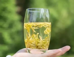 茶叶的山水与人情